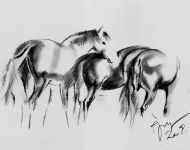 horses-4