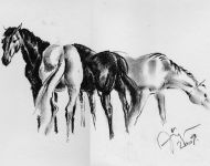 horses-1